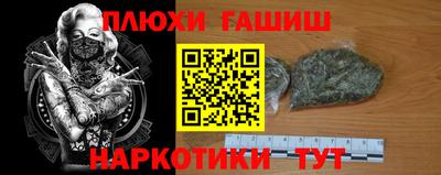 не бодяженный Сланцы