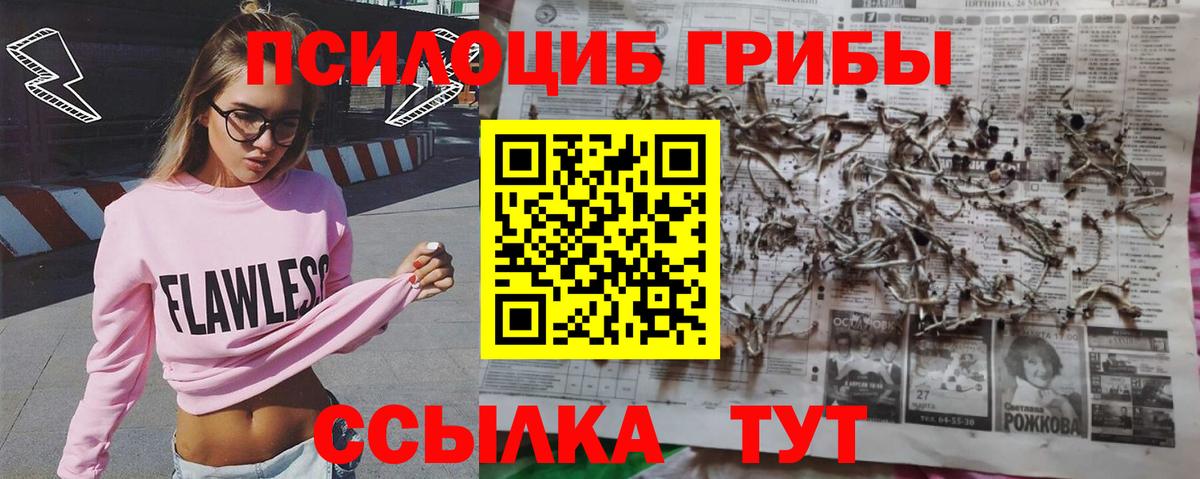 Алушта  Галлюциногенные грибы Magic Shrooms  Вход с VPN 