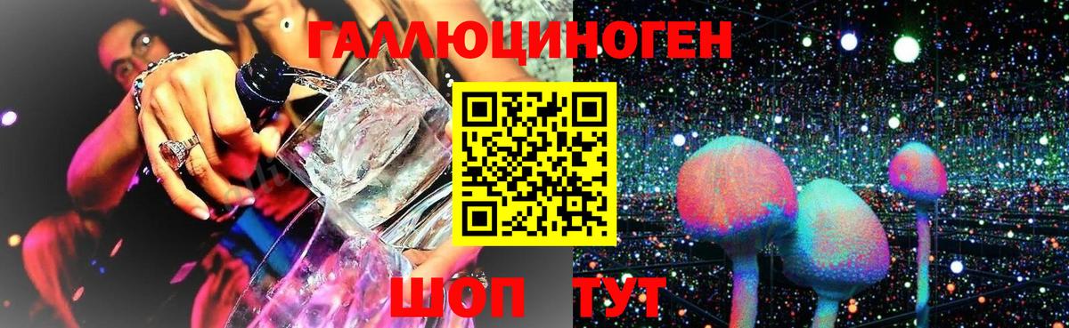 Псилоцибиновые грибы Cubensis Алушта